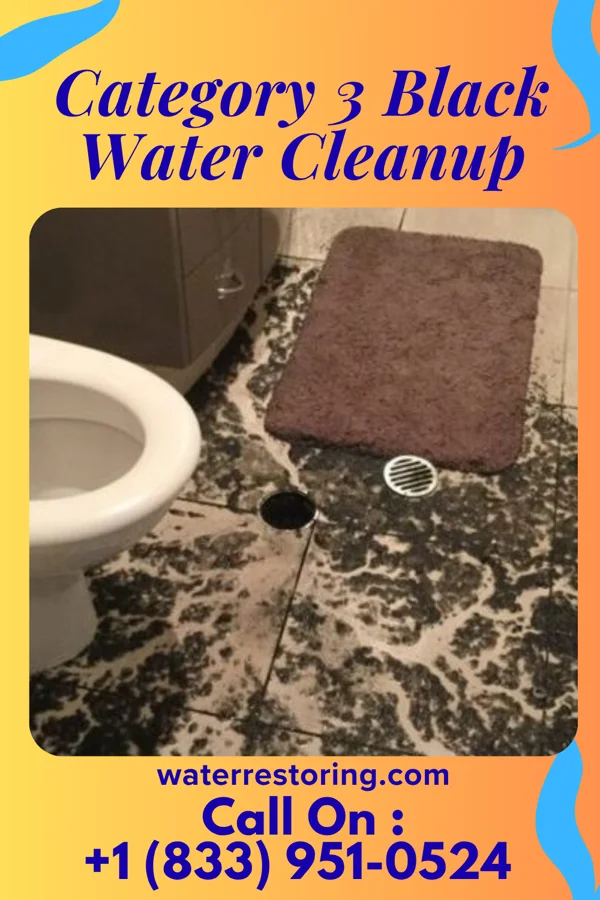 Category 3 Black Water Cleanup in Northport, AL
